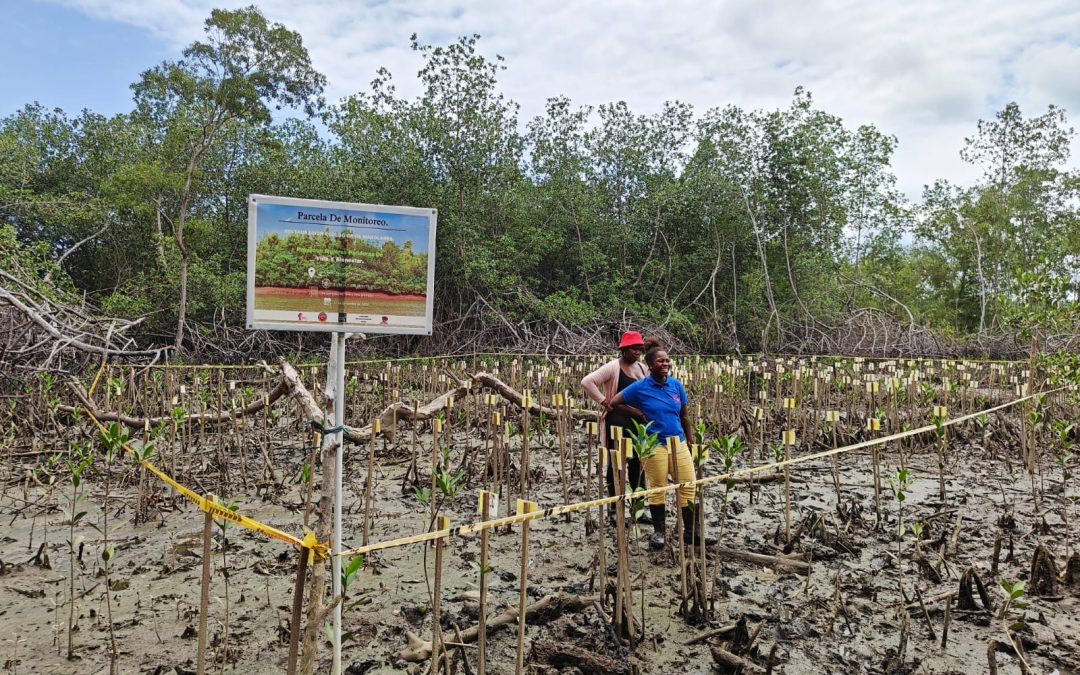 Visita de campo a Tumaco, Nariño