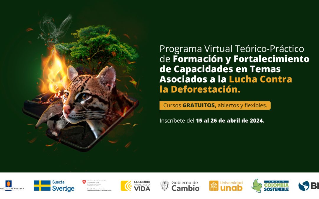 UNAB lanza cursos virtuales y gratuitos en temas asociados a la lucha contra la deforestación