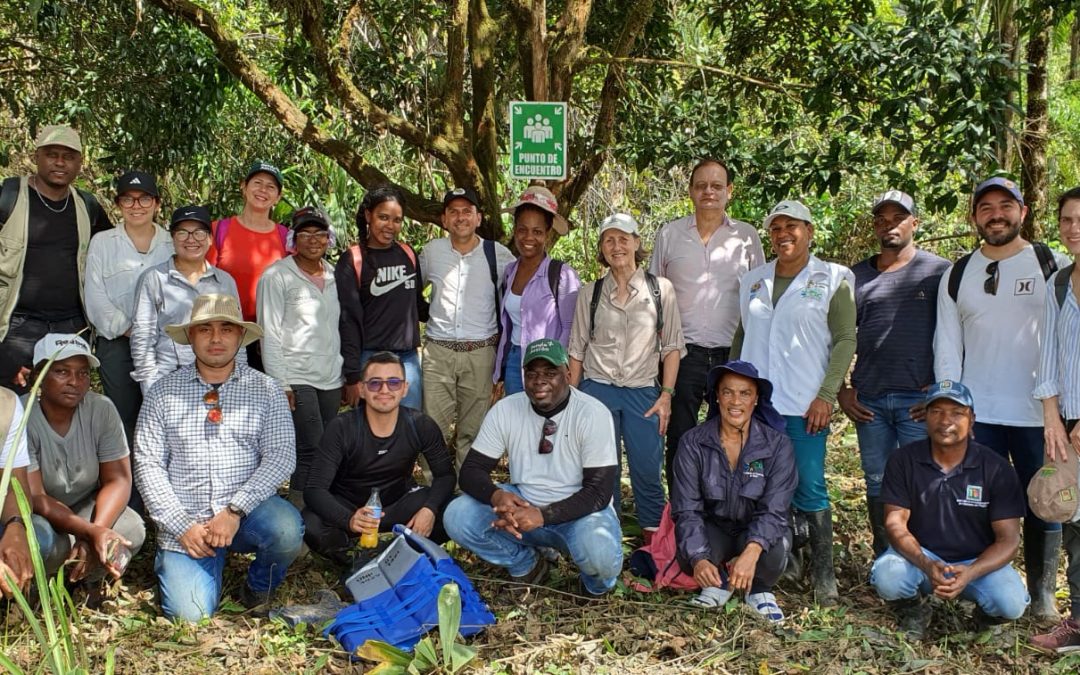 Promoción de la Economía Forestal en Apoyo a la Lucha contra la Deforestación