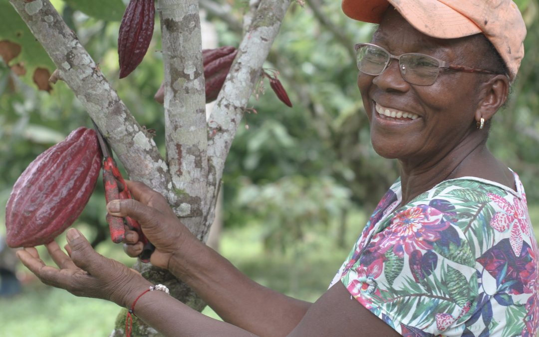 Comunidades afro del Pacífico protegen el bosque y cultivan cacao como apuesta de paz