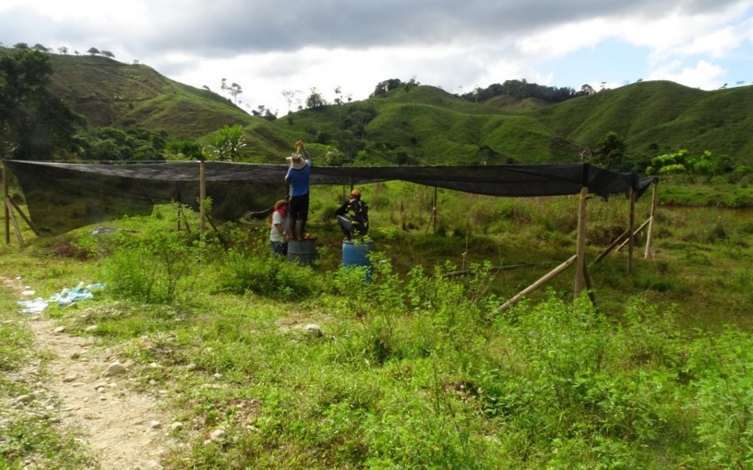 Campesinos protegen la Reserva Natural Bajo Cauca-Nechí y su área de influencia