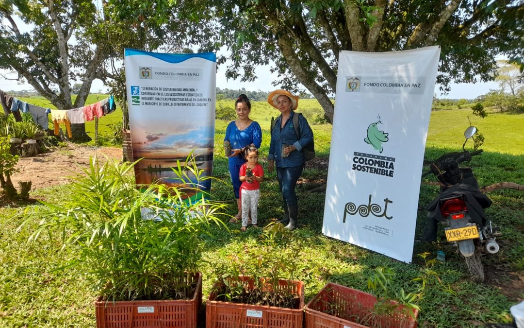 Mediante modelo de reconversión ganadera combaten la deforestación en Caquetá
