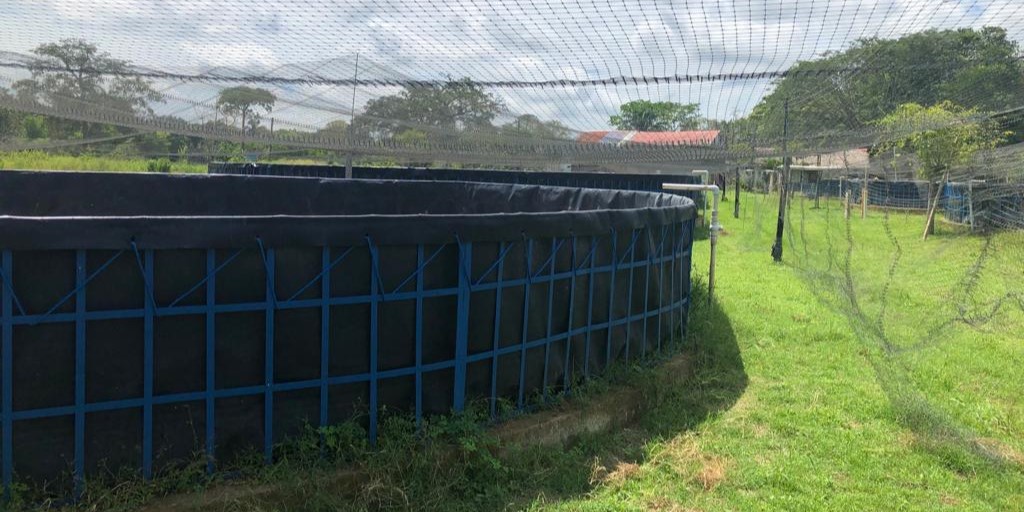 En Arauca implementan una granja piscícola usando paneles solares