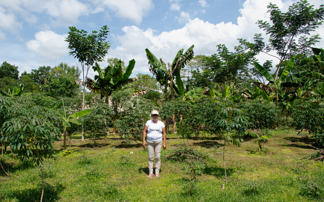 Dando vida al bosque seco tropical en los Montes de María