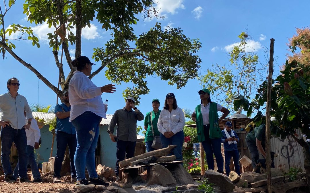 Proyecto sostenible de cacao beneficia a 87 familias campesinas en La Paz, Cesar