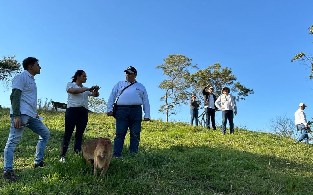 Comunidades del Tolima siembran más de 33 mil árboles para proteger el bosque alto andino