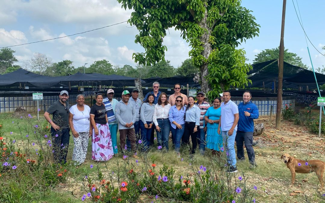 ‘La Bendición de Dios’: La granja piscícola que revoluciona la comercialización de tilapia en el Bajo Cauca Antioqueño