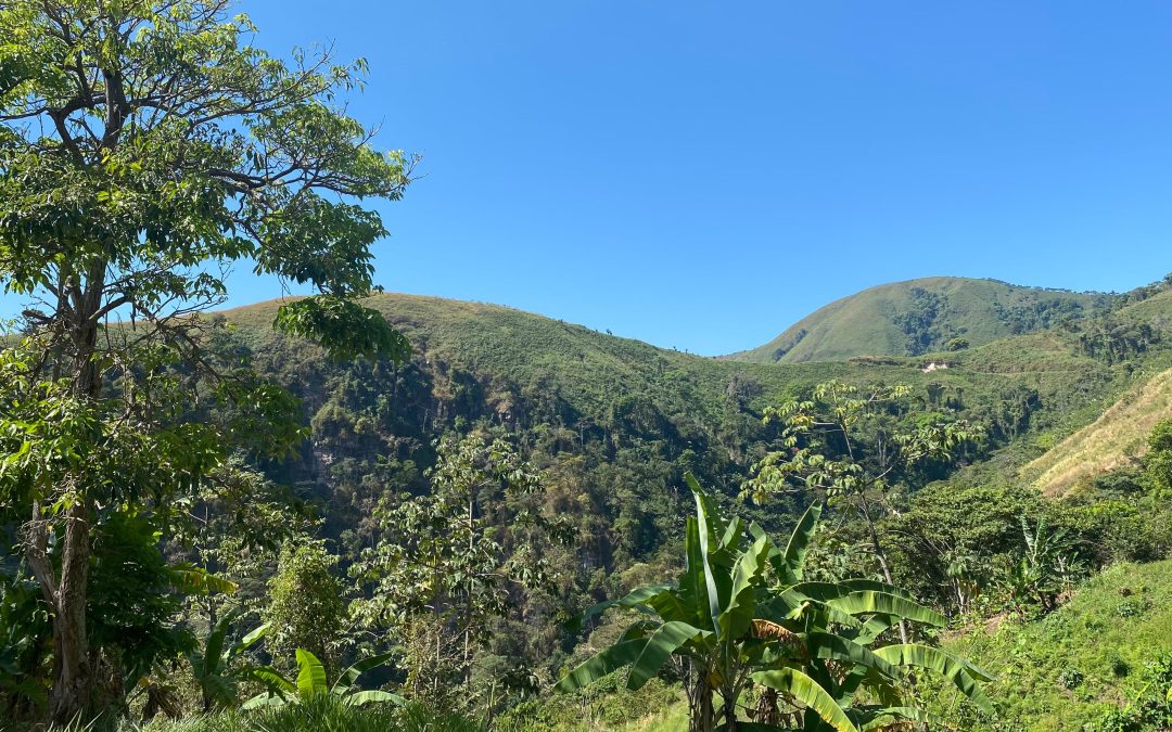 Comunidad indígena Yukpa de Iroka restaura el bosque en la Serranía del Perijá para conservar su biodiversidad y aportar a su seguridad alimentaria