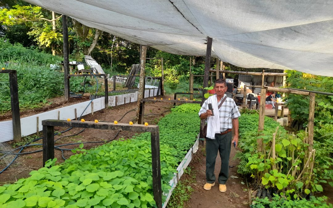 Familias campesinas en Caquetá promueven la reconversión ganadera para combatir la deforestación