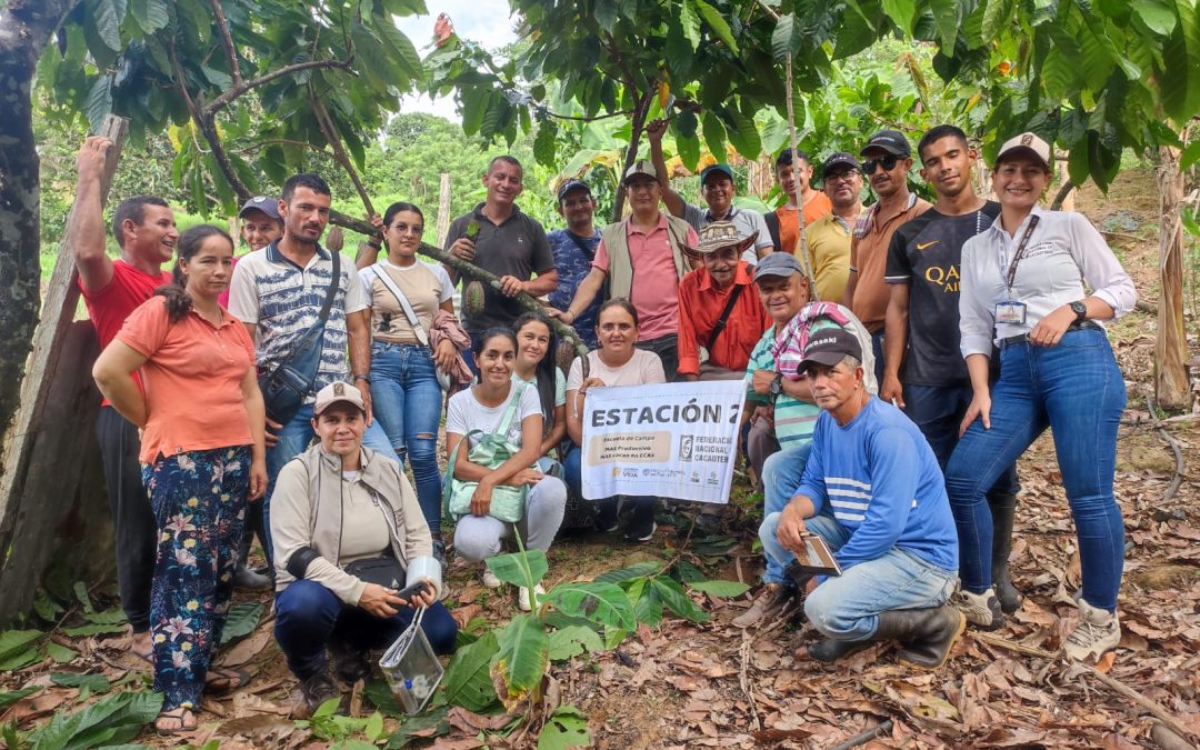 Familias rurales consolidan Sistemas Agroforestales en la Región del Catatumbo para aportar al cumplimiento del Acuerdo de Paz