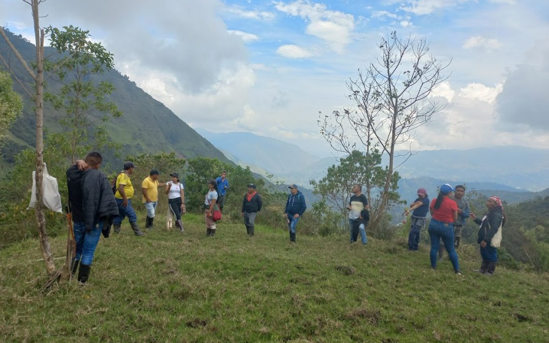 Indígenas Nasa restauran bosque del departamento del Cauca para proteger corrientes hídricas
