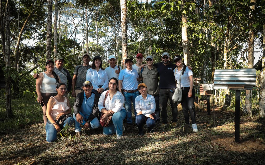 Gobierno Nacional fortalece el Sistema Productivo de Abejas Meliponas y Frutales Amazónicos en el Putumayo