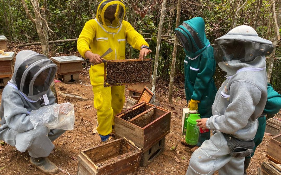 Gobierno Nacional invierte cerca de $42.000 millones en el fortalecimiento de emprendimientos agroambientales en municipios PDET