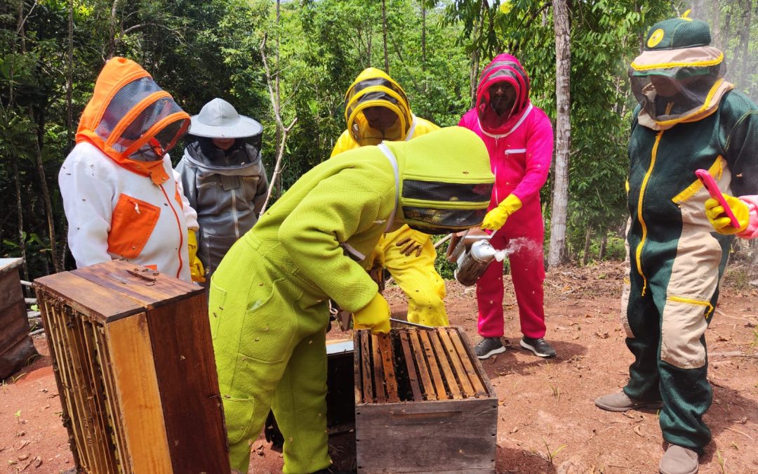 En el Bajo Cauca Antioqueño fortalecen un modelo productivo de miel para aportar al Acuerdo de Paz