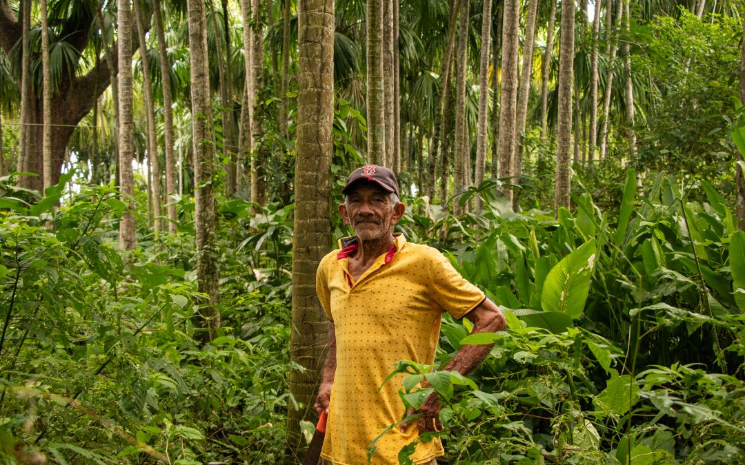 Comunidades sembraron más de 28.000 árboles para restaurar el bosque seco tropical en los Montes de María