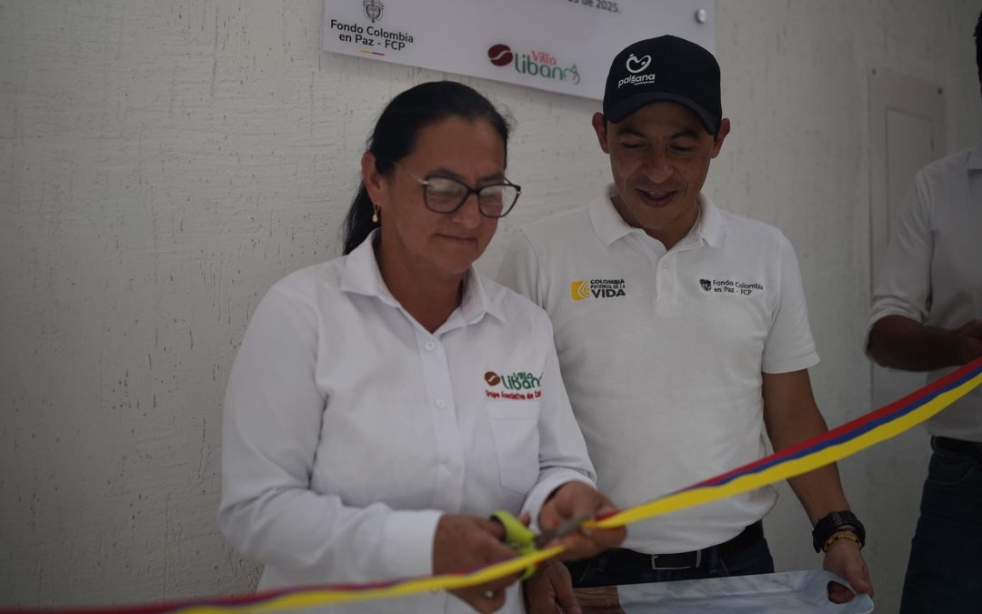 Reconversión cafetera: la apuesta por un mejor futuro en Algeciras, Huila.